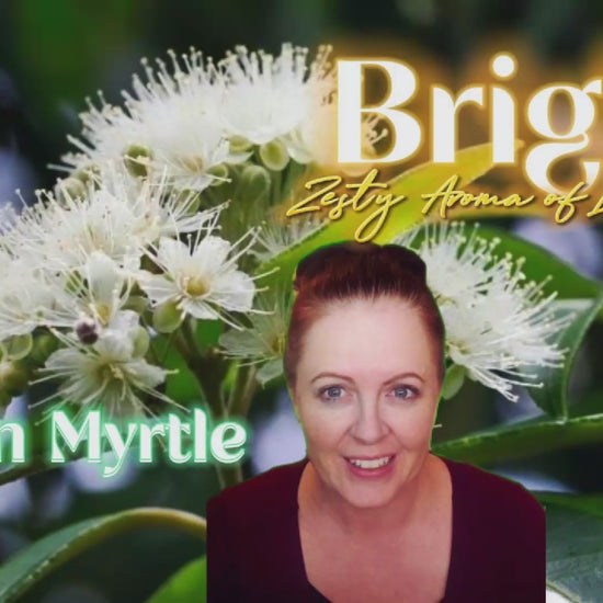 Lemon Myrtle Shea Butter