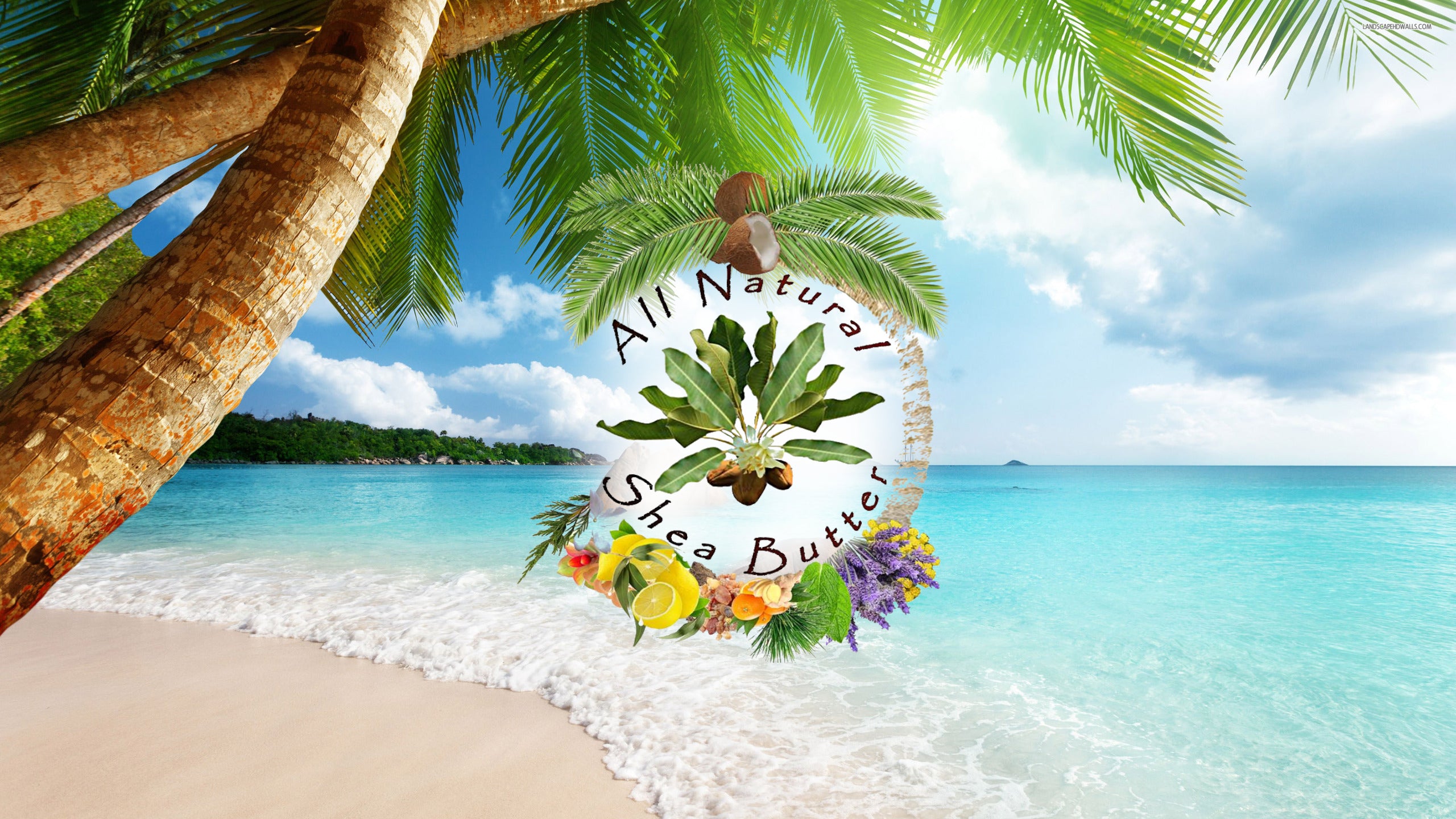 Tropical beach scene with palm trees and a 'All Natural Shea Butter' logo.