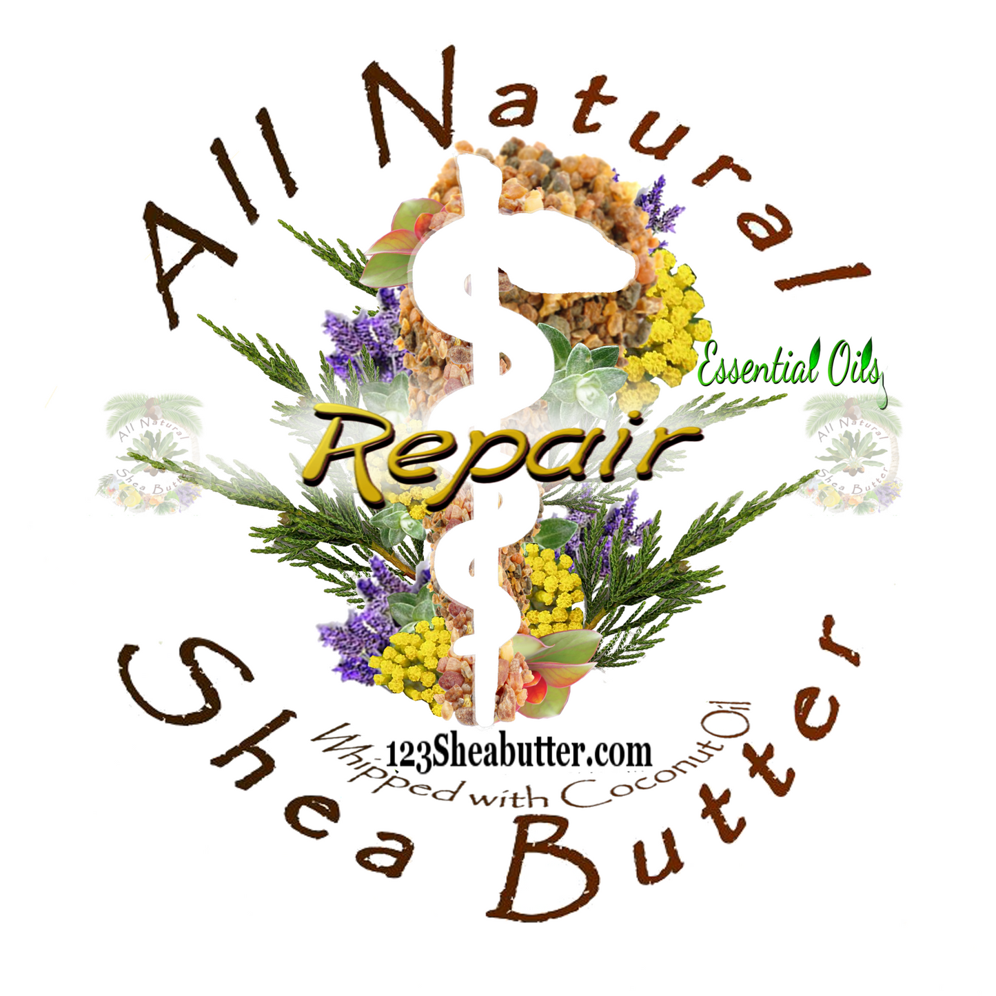 Repair top label